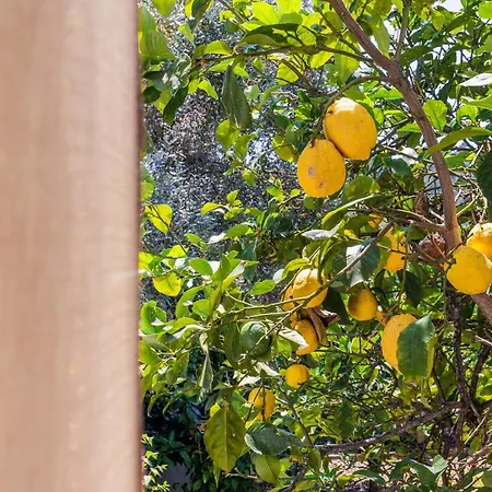 Panagou 3* Skopelos Town