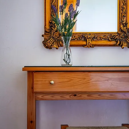 Panagou Casa de hóspedes Skopelos Town