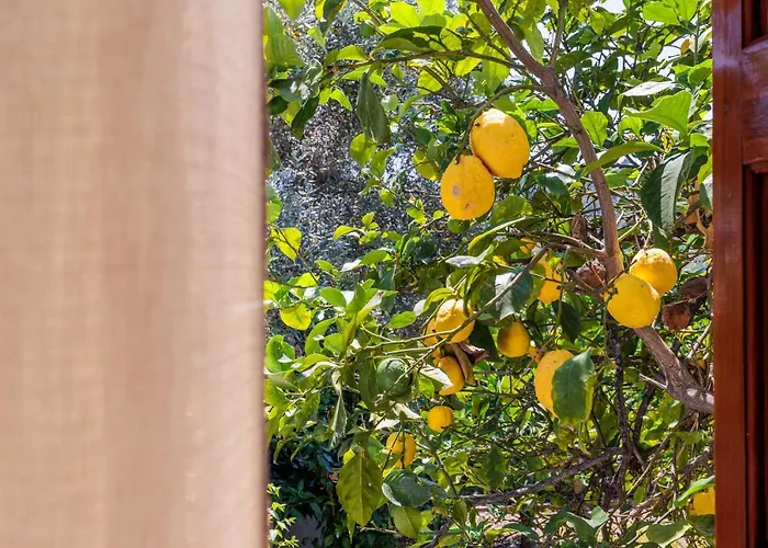 Panagou 3* Skopelos Town