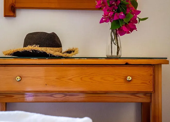 Guest house Panagou Skopelos Town